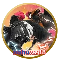 nohuwz88